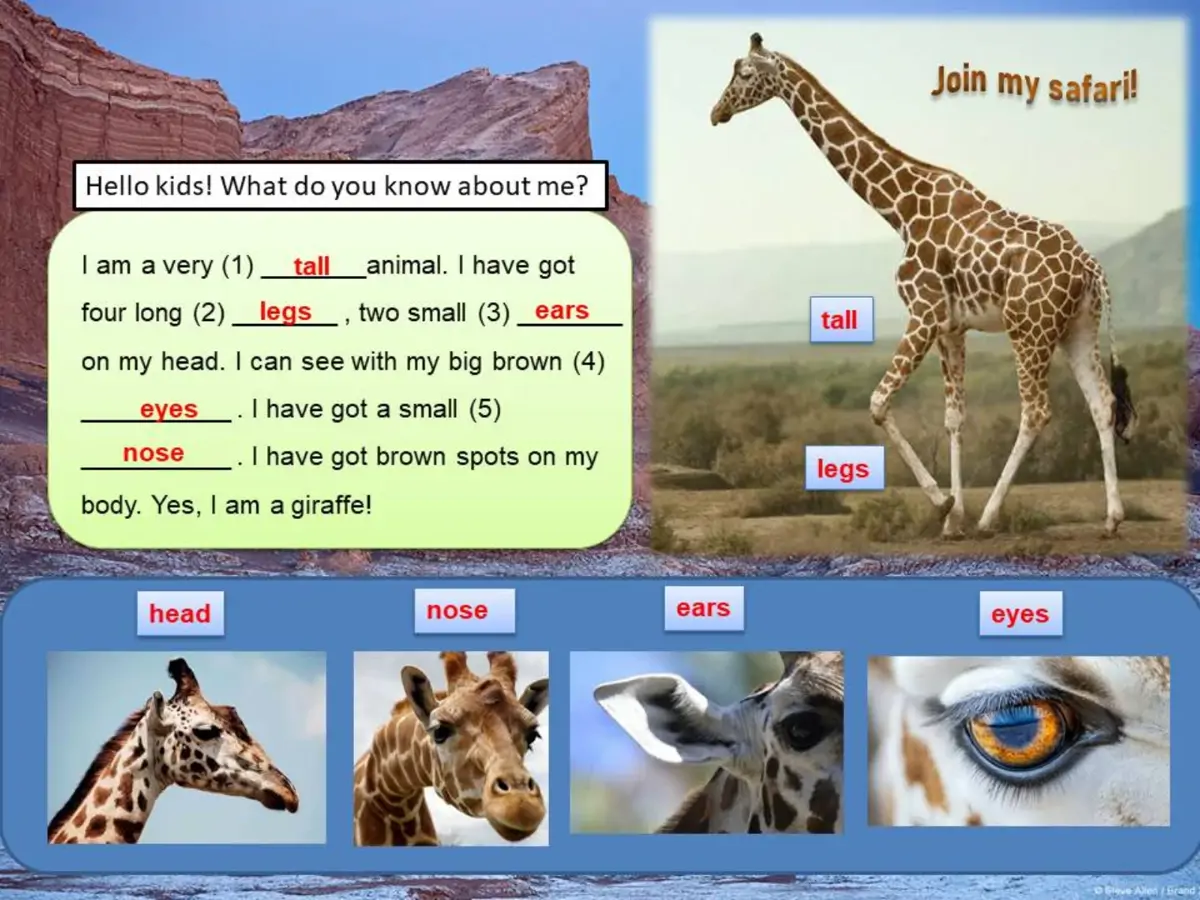 Nizam Aksan — Join My Safari! (görsel)