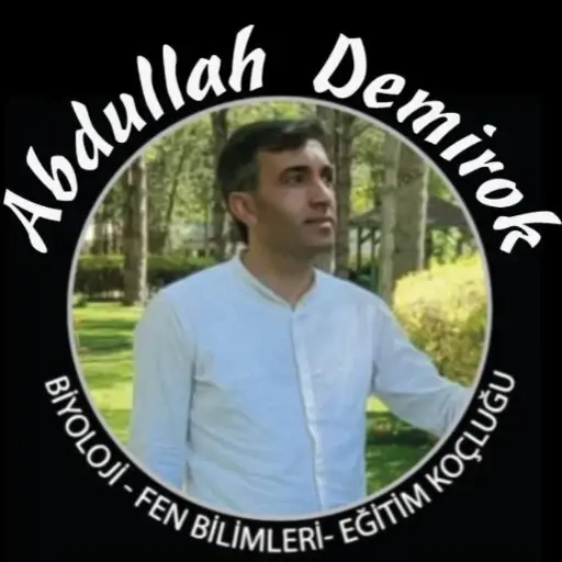 Abdullah Demirok